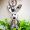 MCM Signature Rabbit Charm in Visetos Silver