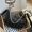 MCM Small Aren Crescent Hobo in Visetos Black