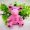 MCM Zoo Pig Charm in Visetos Pink